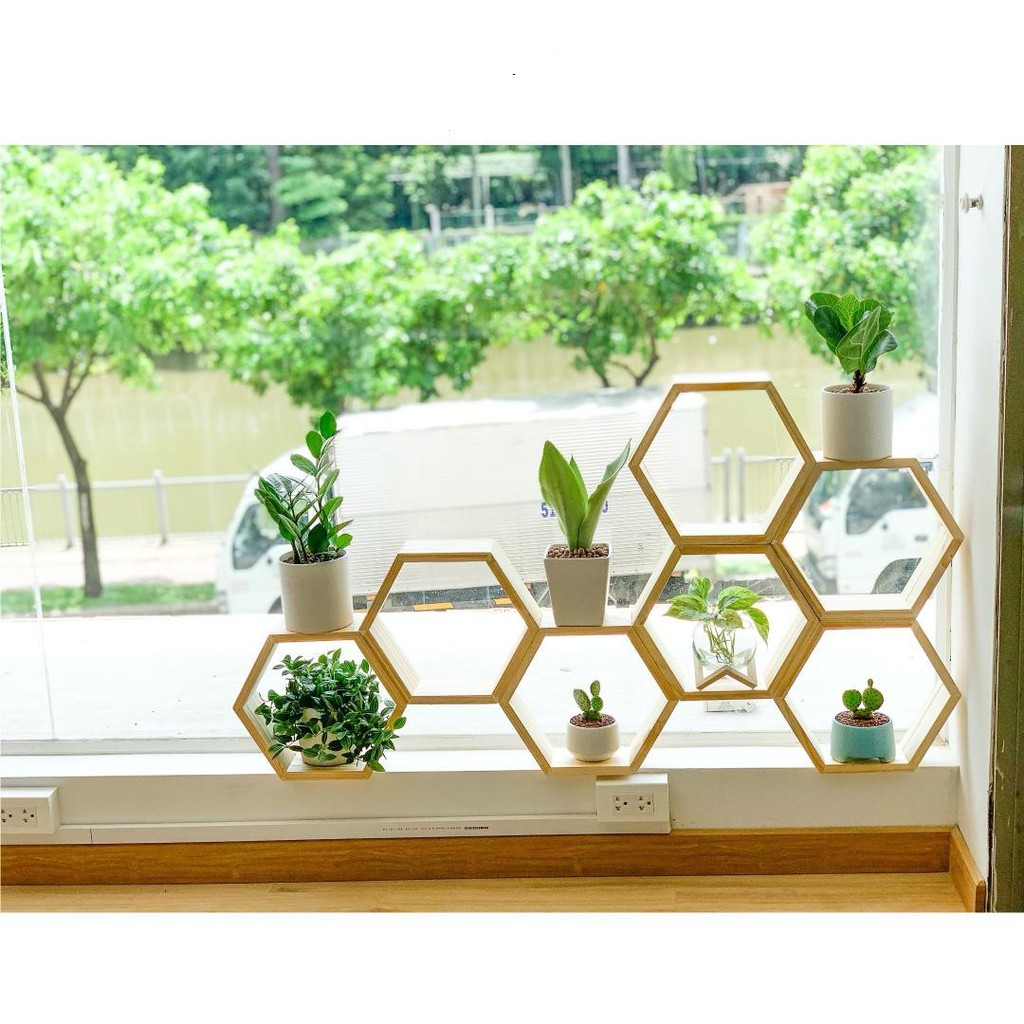 kệ cây cảnh bằng sắt