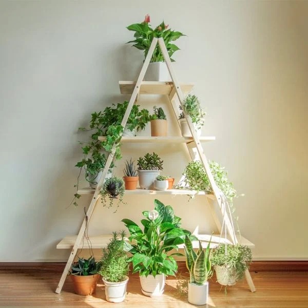 kệ cây cảnh bằng sắt